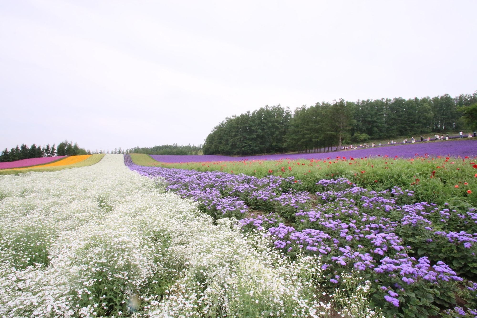 Furano Shiyuirin Hotel Kamifurano Eksteriør billede