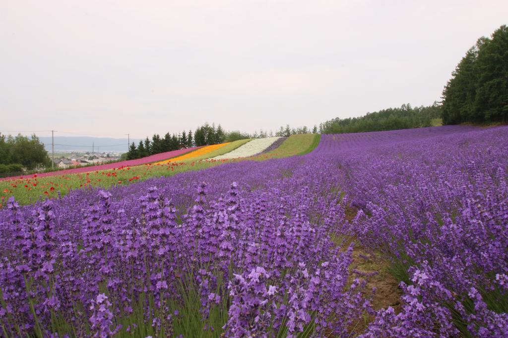 Furano Shiyuirin Hotel Kamifurano Eksteriør billede