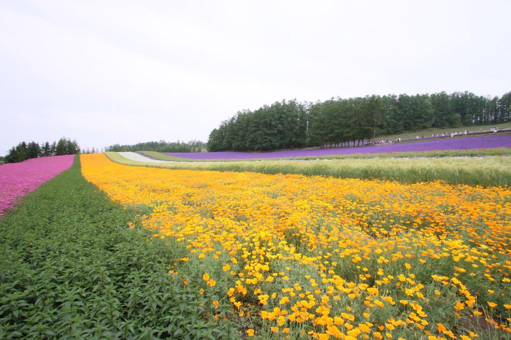 Furano Shiyuirin Hotel Kamifurano Eksteriør billede